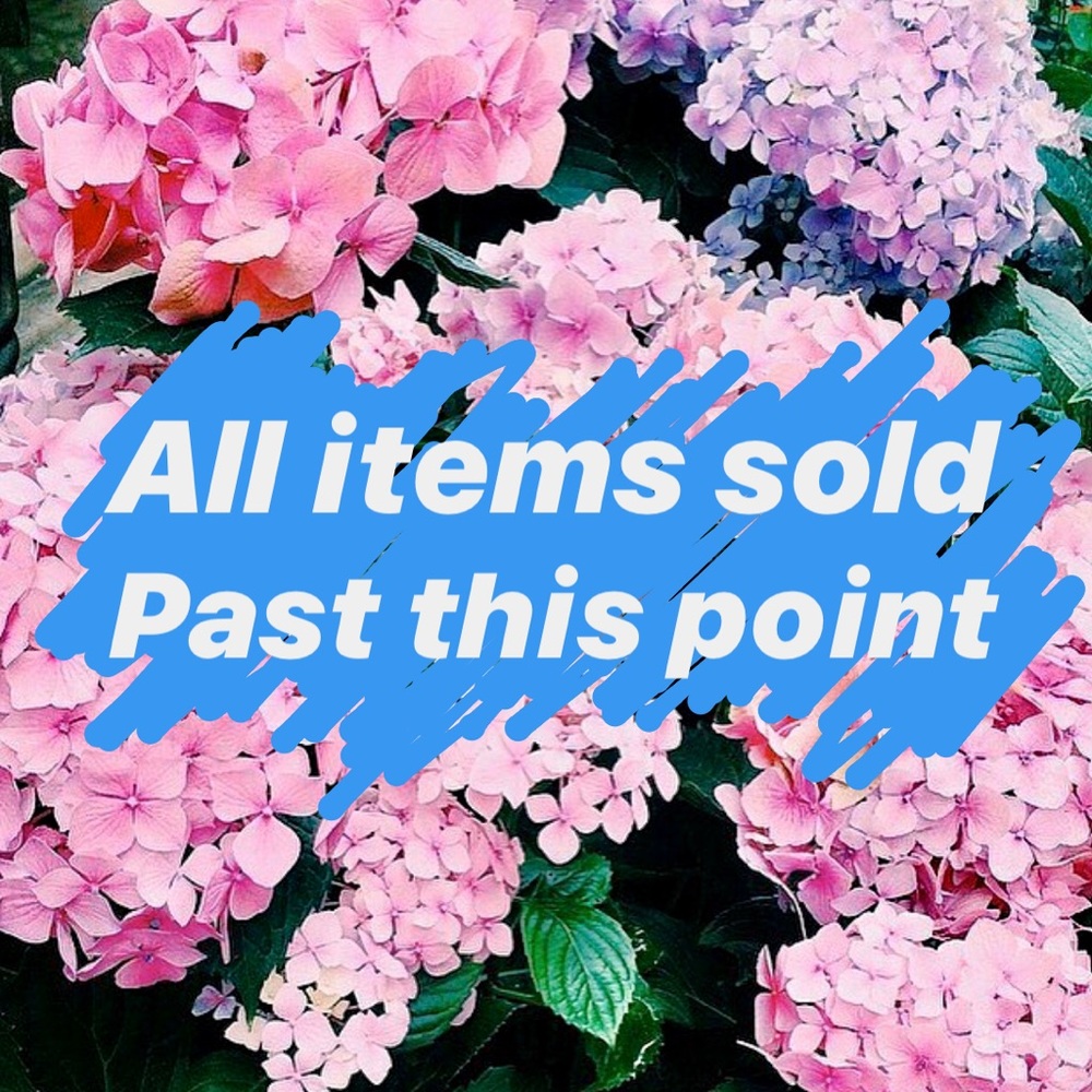 ✨✨ ALL SOLD PAST THIS POINT ✨✨